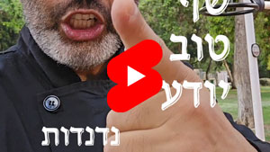 כל שף טוב יודע - נדנדות | טל עמי