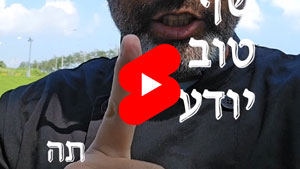 כל שף טוב יודע - תה | טל עמי