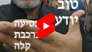 כל שף טוב יודע - נסיעה ברכבת קלה | טל עמי