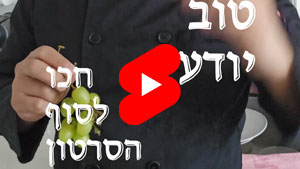 Every Good Chef Knows - Wait For The End Of The Video | Tal Ami
