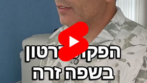 Producing A Video In A Foreign Language | Tal Ami