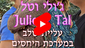 ג'ולי וטל - עליית שלב במערכת היחסים  | טל עמי