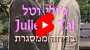 ג'ולי וטל - בריחה ממסגרת | טל עמי