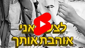 Unfortunately I Love You | Ducks - Urban Legend | B&W | Tal Ami